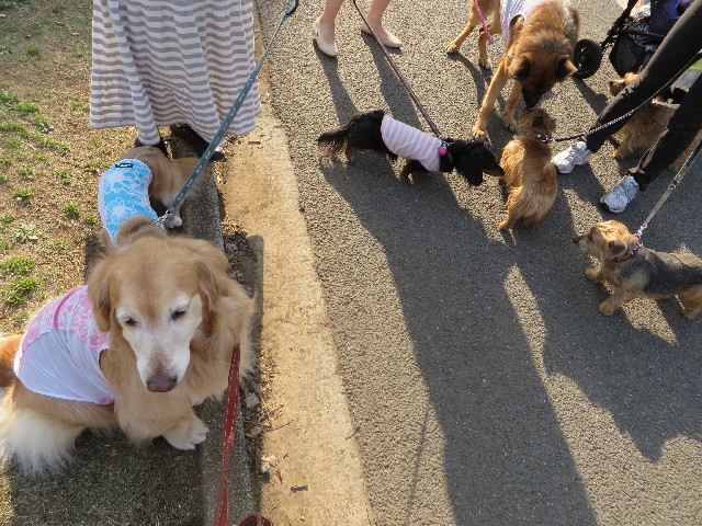 ファイル 4214-2.jpg