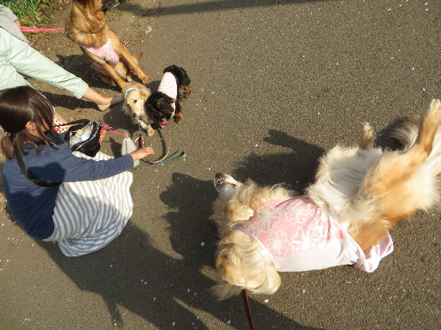 ファイル 4214-3.jpg