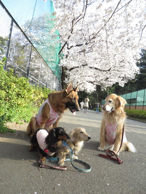 ファイル 4214-5.jpg