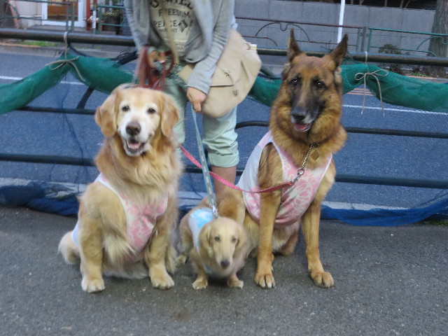 ファイル 4216-3.jpg