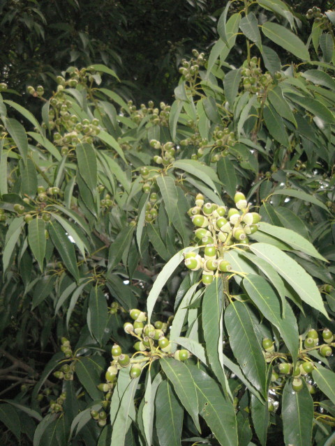 ファイル 422-3.jpg