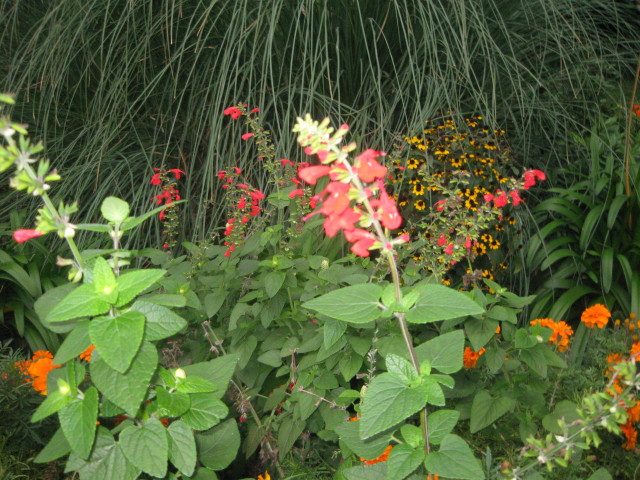 ファイル 422-5.jpg