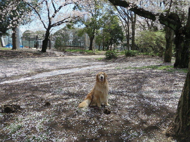 ファイル 4220-5.jpg