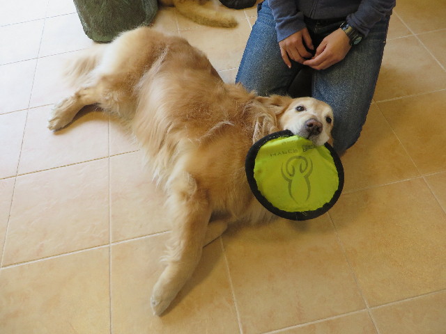 ファイル 4223-2.jpg