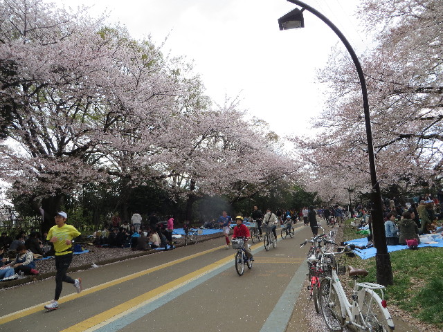 ファイル 4224-3.jpg