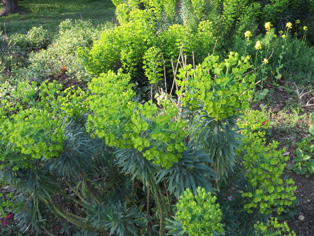 ファイル 4224-4.jpg