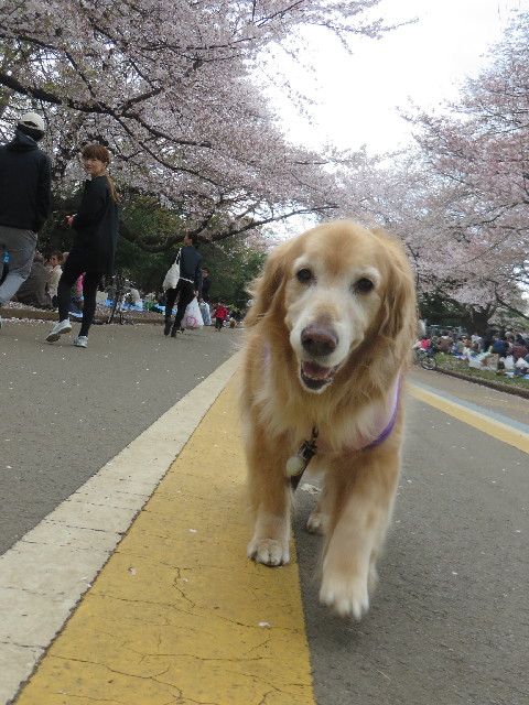 ファイル 4226-2.jpg