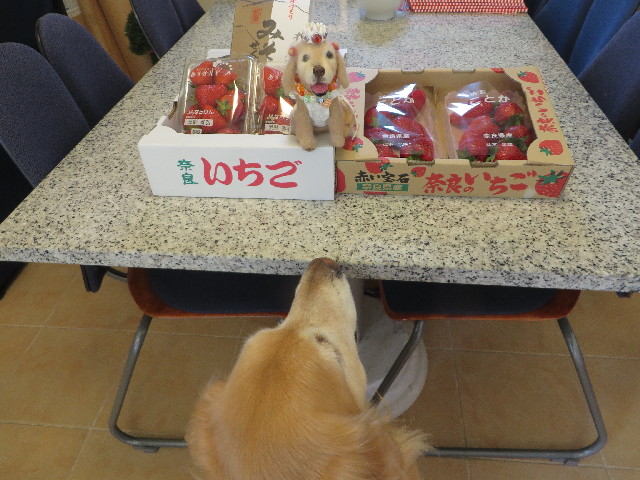 ファイル 4226-4.jpg