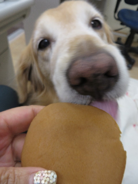 ファイル 4226-5.jpg