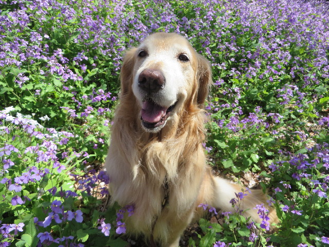 ファイル 4227-5.jpg