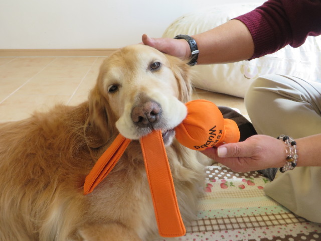 ファイル 4229-1.jpg