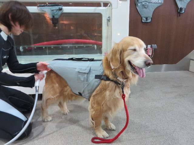 ファイル 4229-3.jpg