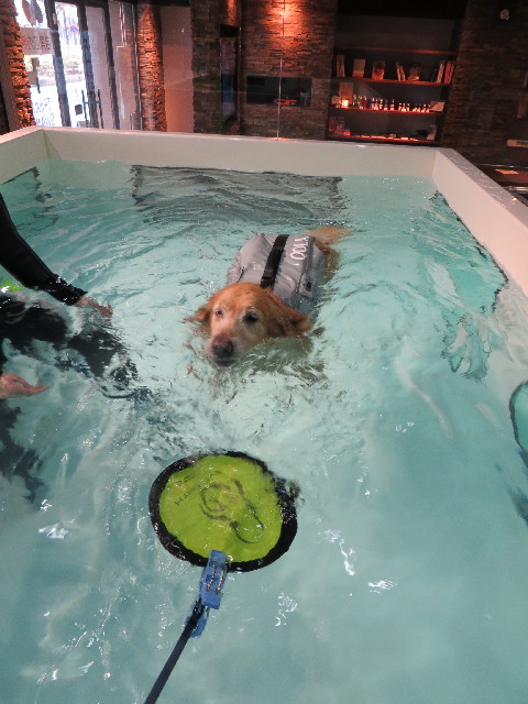 ファイル 4229-5.jpg