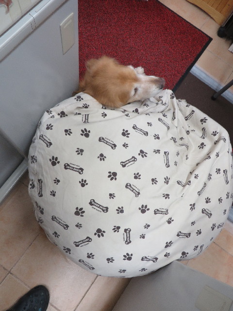 ファイル 4230-3.jpg