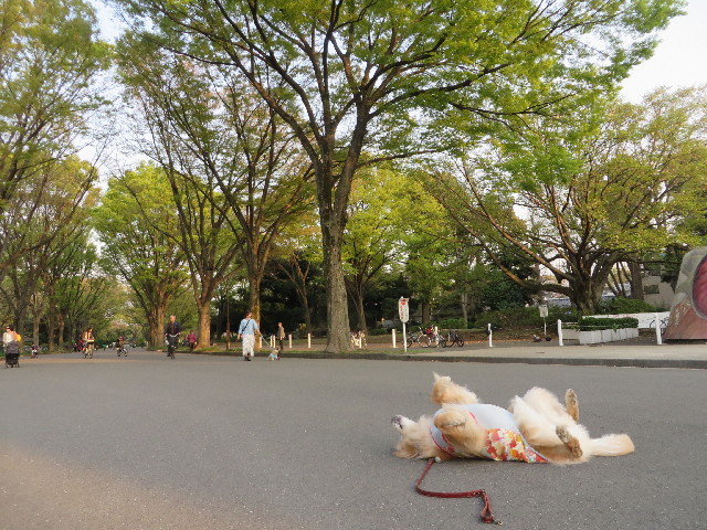 ファイル 4231-3.jpg