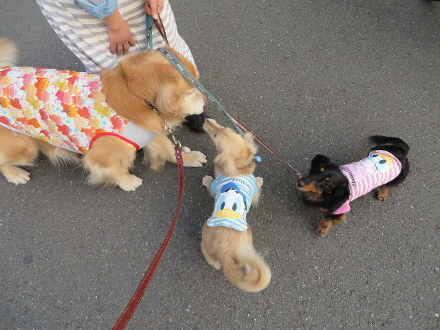 ファイル 4231-4.jpg