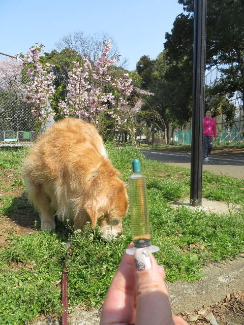 ファイル 4235-5.jpg