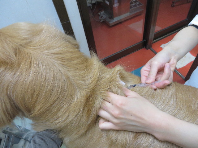 ファイル 4236-3.jpg