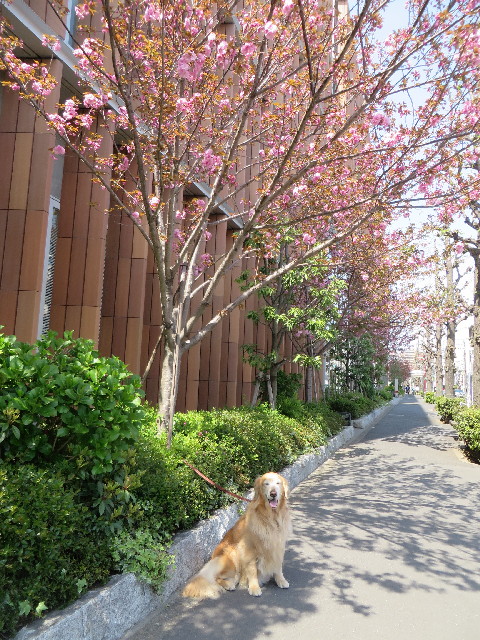 ファイル 4238-3.jpg