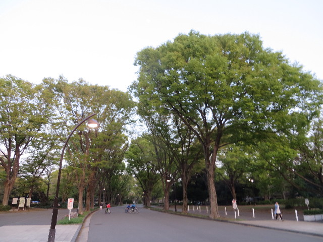 ファイル 4238-5.jpg