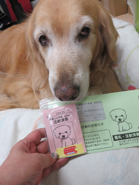 ファイル 4239-2.jpg