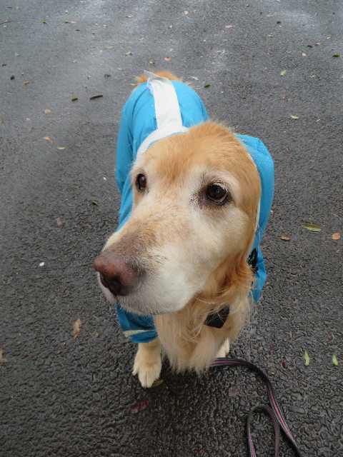 ファイル 4239-3.jpg