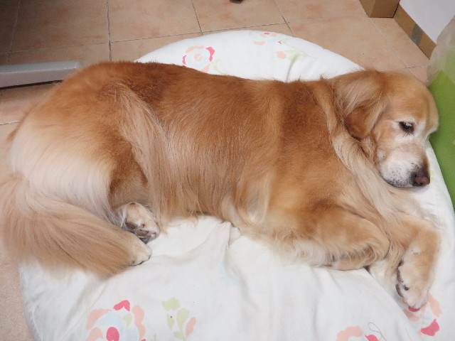 ファイル 4239-4.jpg