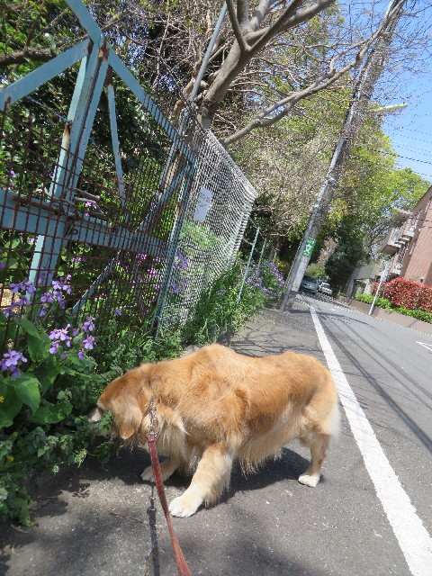 ファイル 4240-3.jpg