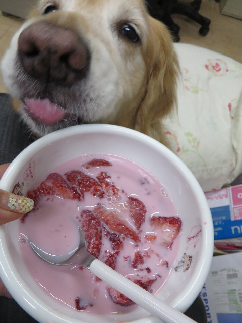 ファイル 4240-5.jpg