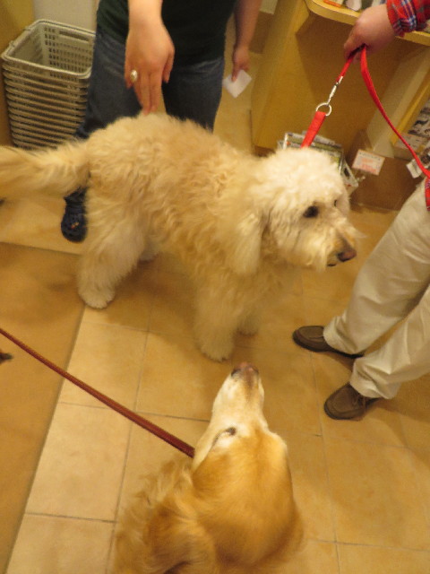 ファイル 4242-2.jpg