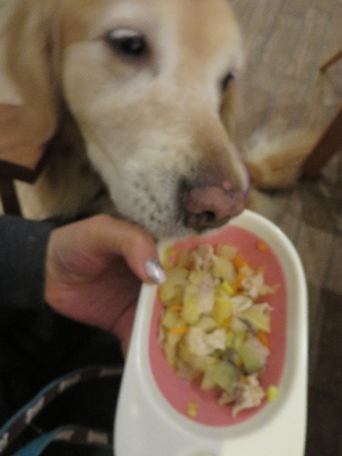 ファイル 4242-4.jpg