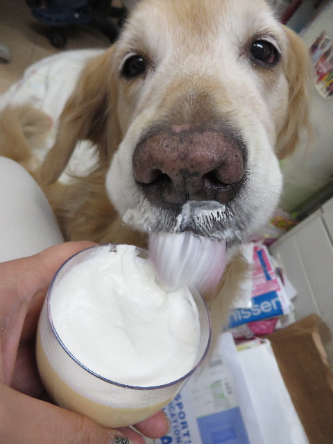 ファイル 4243-3.jpg