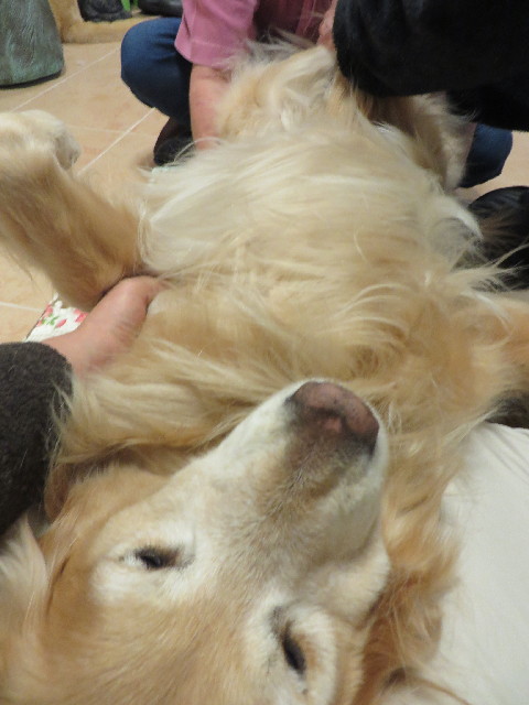 ファイル 4243-4.jpg