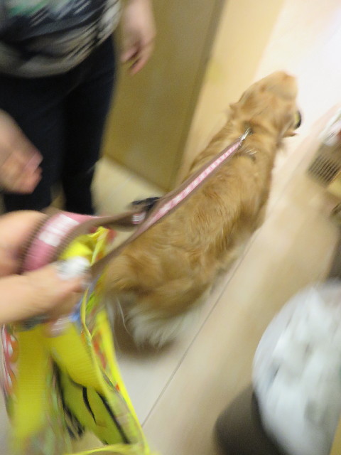 ファイル 4245-2.jpg