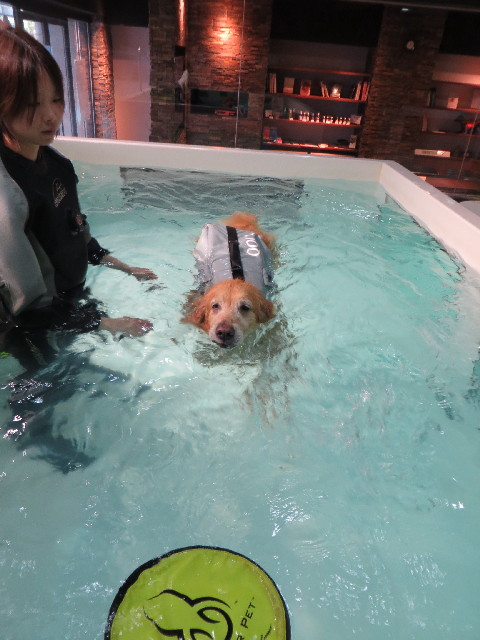 ファイル 4245-3.jpg