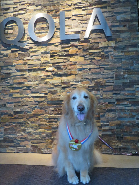 ファイル 4245-4.jpg