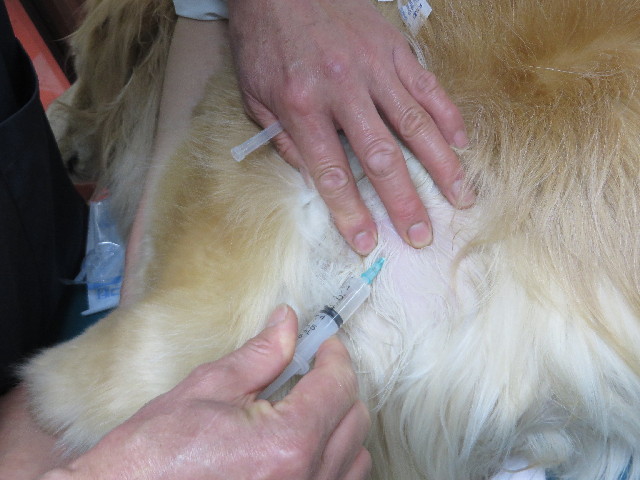 ファイル 4246-2.jpg