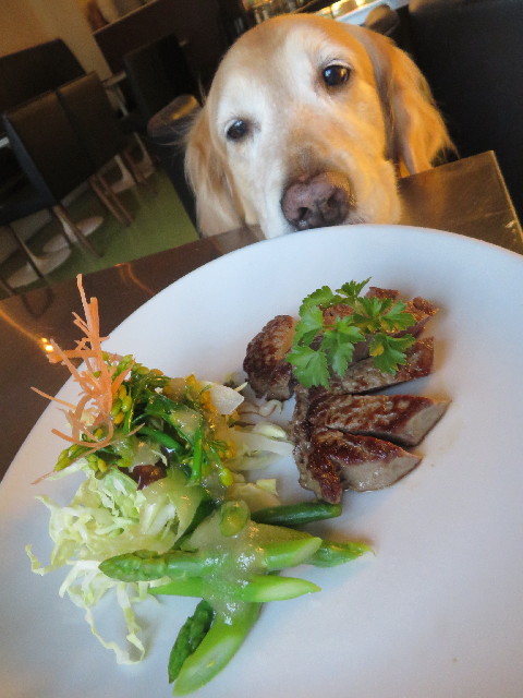 ファイル 4248-5.jpg