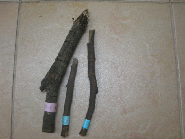 ファイル 425-5.jpg