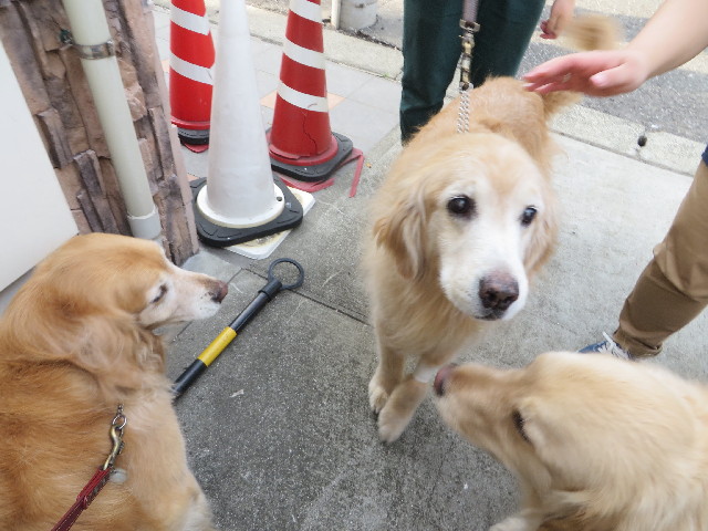 ファイル 4250-1.jpg