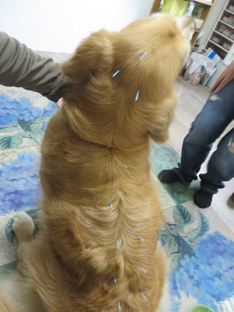 ファイル 4250-2.jpg