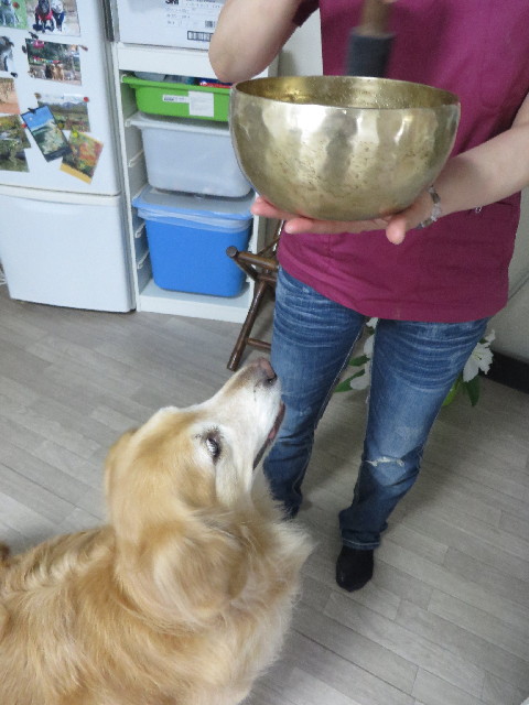 ファイル 4250-3.jpg