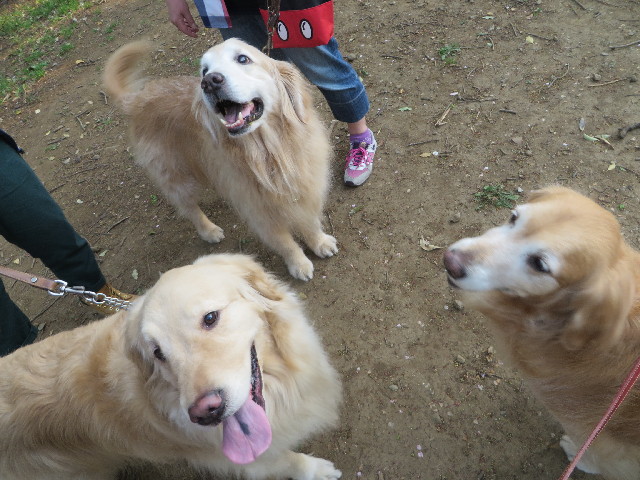 ファイル 4250-5.jpg