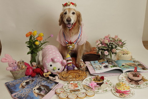 ファイル 4251-2.jpg