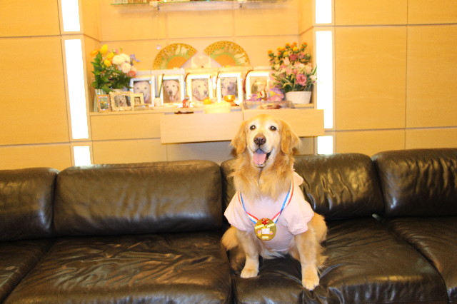 ファイル 4251-3.jpg