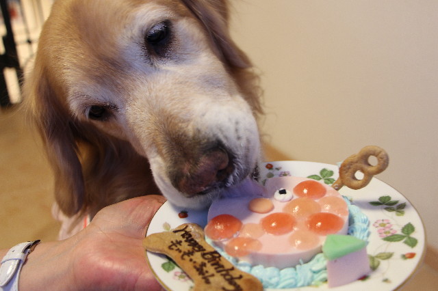 ファイル 4251-4.jpg