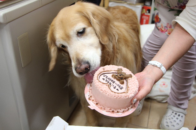 ファイル 4252-1.jpg