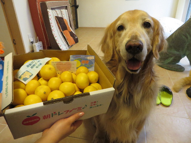 ファイル 4252-5.jpg