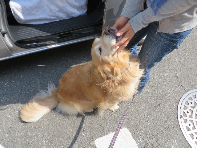 ファイル 4255-1.jpg