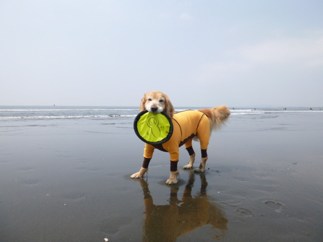 ファイル 4255-2.jpg